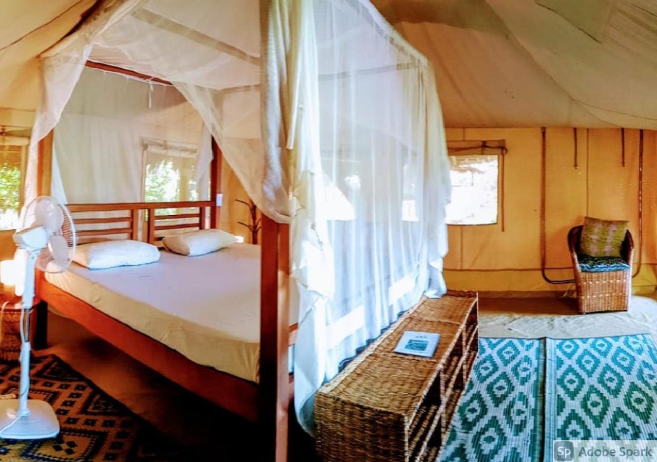 Lodge Firefly Eco Retreat *