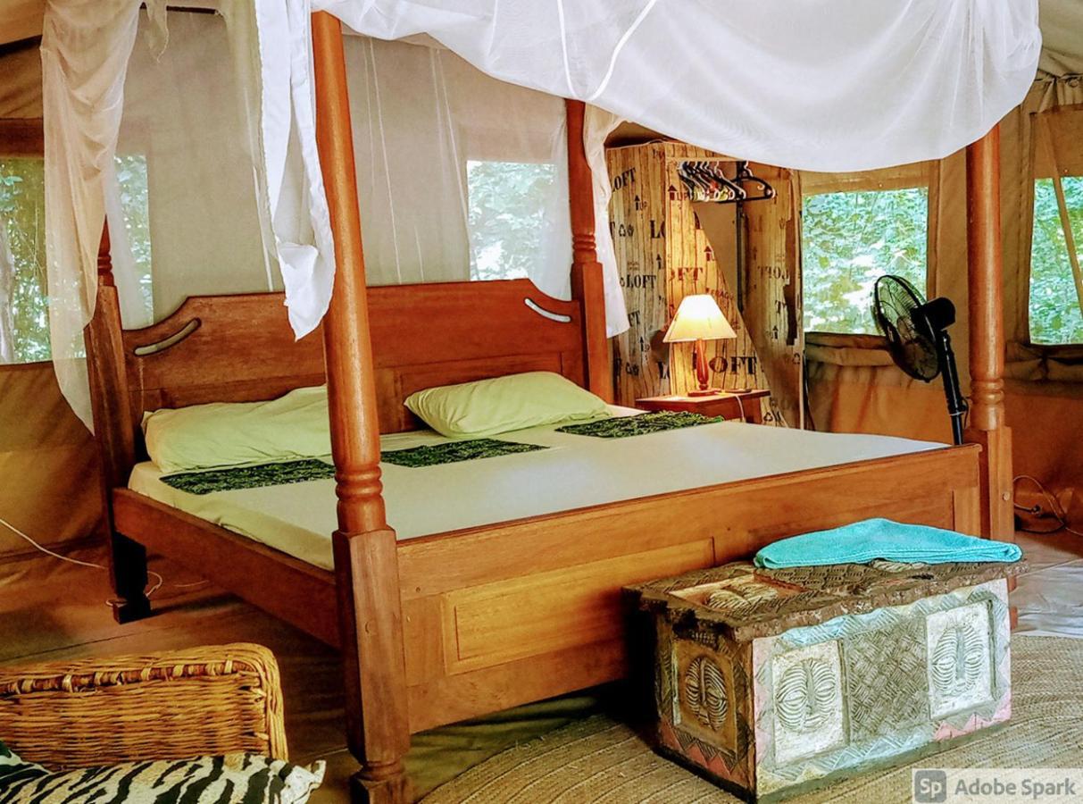 Firefly Eco Retreat * Шимони