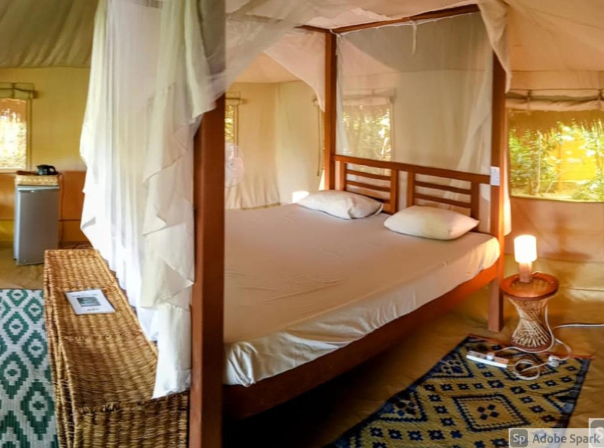 Firefly Eco Retreat *