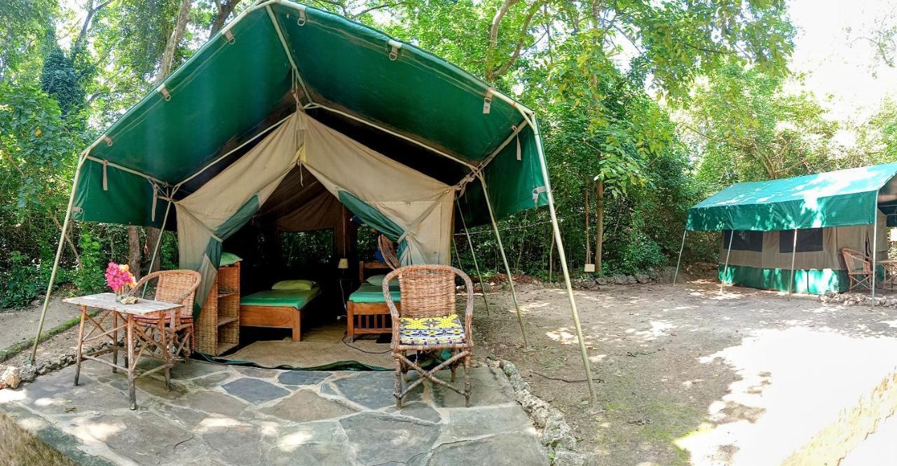 Firefly Eco Retreat