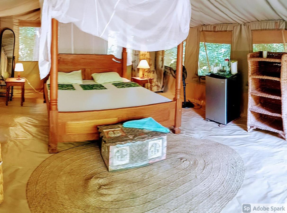 Lodge Firefly Eco Retreat Shimoni