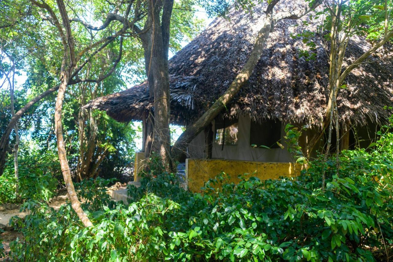 Firefly Eco Retreat * Shimoni