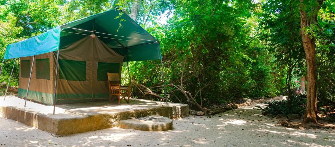 Firefly Eco Retreat